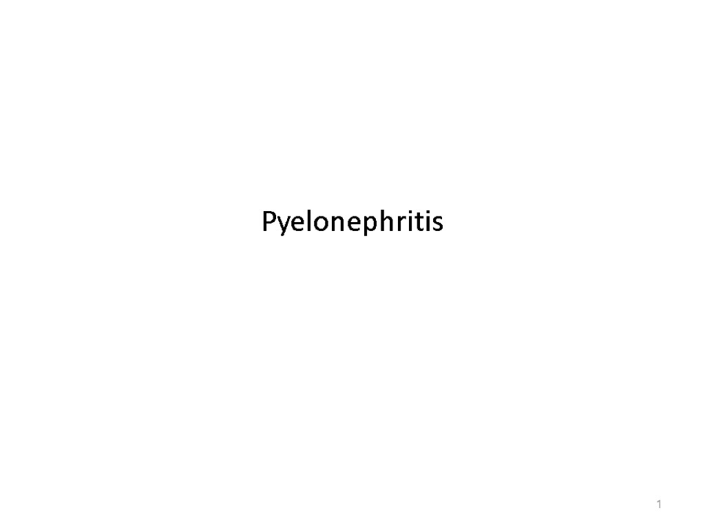 Pyelonephritis 1